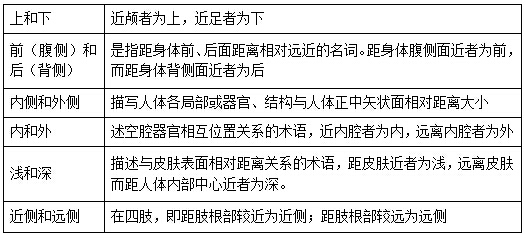 ҽѧ����֪ʶ������⣺�������ѧ��λ����