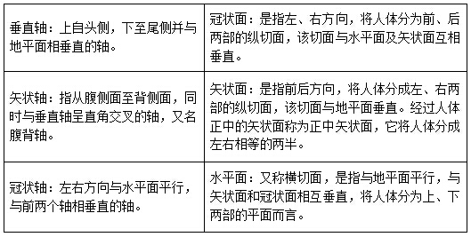 ҽѧ����֪ʶ������⣺�����������